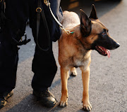 The security guard and K9 were shot at while patrolling the site. Stock photo.