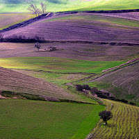 Paesaggio lucano di 