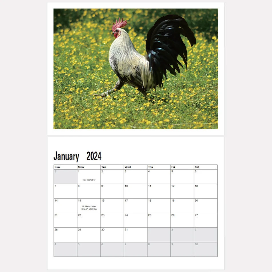Ornement Pendentif Calendrier Chante Clair, élégant et fonctionnel. Un cadeau idéal et une décoration charmante pour égayer votre intérieur.