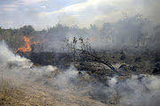 The land burned in Argentina so far this year already exceeds the 1.6 million acres that California has lost on average to wildfires annually since 2017.