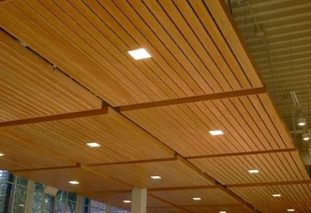 House Ceiling Ideas(圖1)-速報App