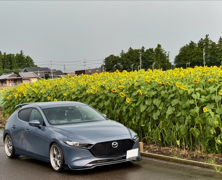 MAZDA3の8月もよろしくお願いします・新緑と愛車・熱中症に気をつけて!!・暑い、、暑いぞおおお！！・ドライブに関するカスタム事例の投稿画像1枚目