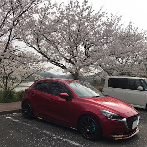 MAZDA2 DJLFS