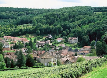 manoir à Lugny (71)