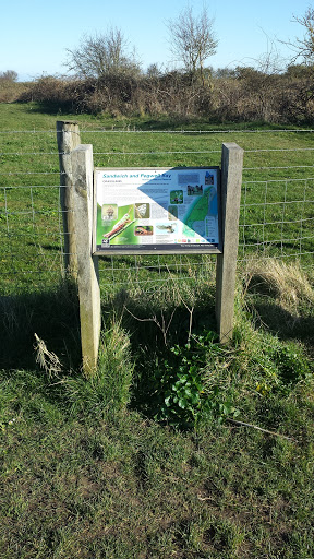 Sandwich and Pegwell Bay