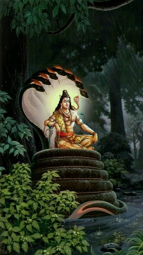 Download Lord Shiva Wallpapers Apk Free For Android Apktume Com