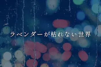 ラベンダーが枯れない世界