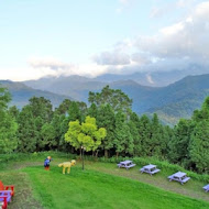 綠光森林富野綿羊牧場