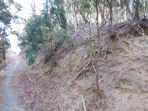 ここから山頂へ