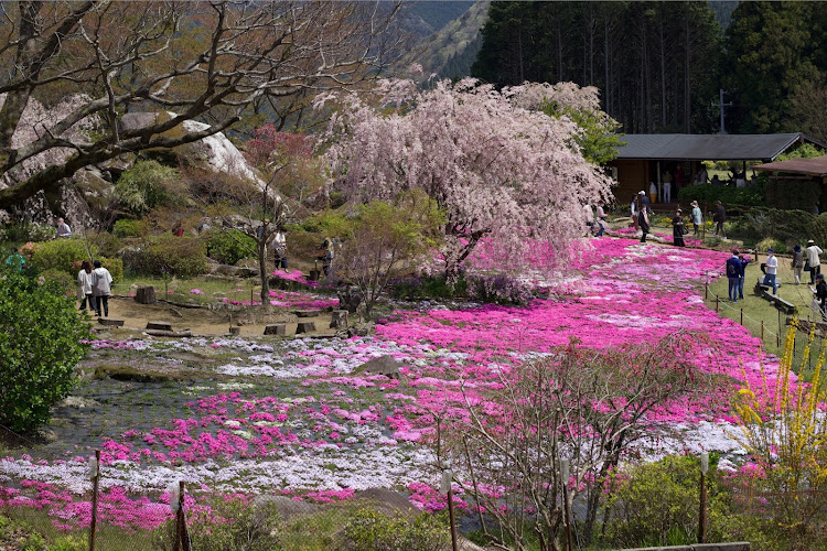 の投稿画像8枚目