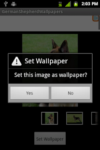 Free Download German Shepherd Wallpapers APK