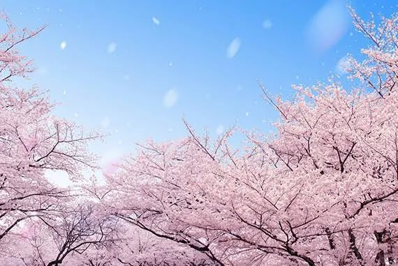 「卒業の日。桜舞い散り、君は笑う」のメインビジュアル