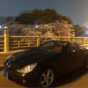 SLK R171