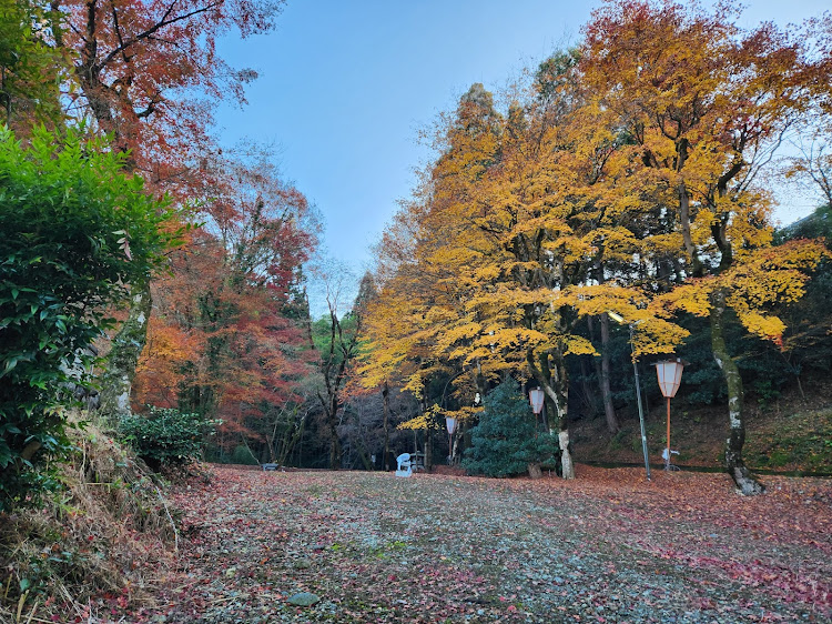 Nボックスカスタムの京都府・京丹波町・南丹市・日吉町・園部町・八木町・美山町・亀岡市・紅葉探し！・廣昌寺&高架下！・写真は無加工主義！！・コロナに負けるな！に関するカスタム事例の投稿画像5枚目