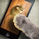 Jeu de souris pour chats icon