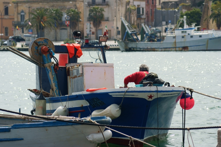 Lupo di Mare di capriottim