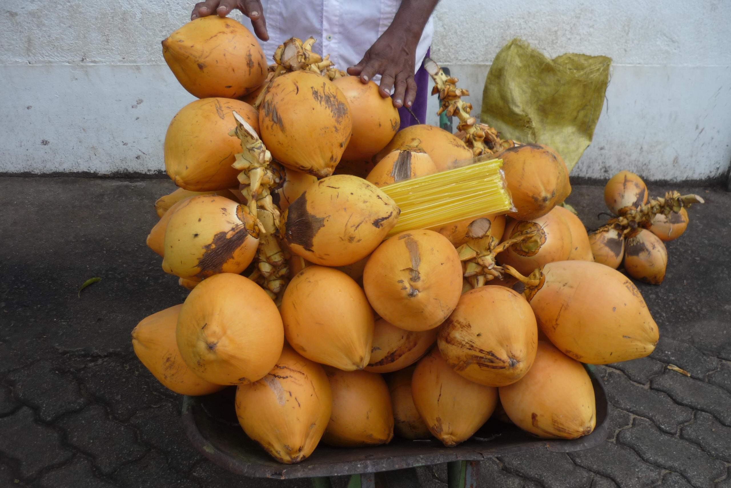 Sri Lanka.... di Nikaele