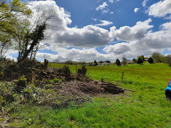 terrain à Le Vigen (87)