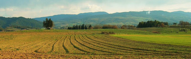 Campi arati di lady oscar