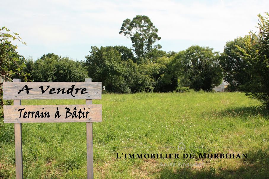 Vente terrain 4 pièces 480 m² à Sarzeau (56370), 133 000 €