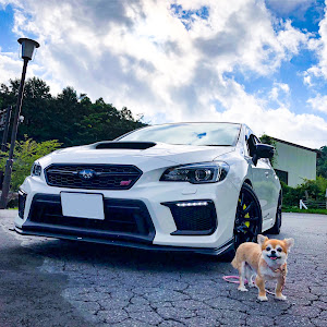 WRX STI