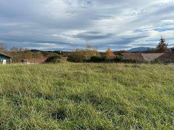 terrain à Arcangues (64)