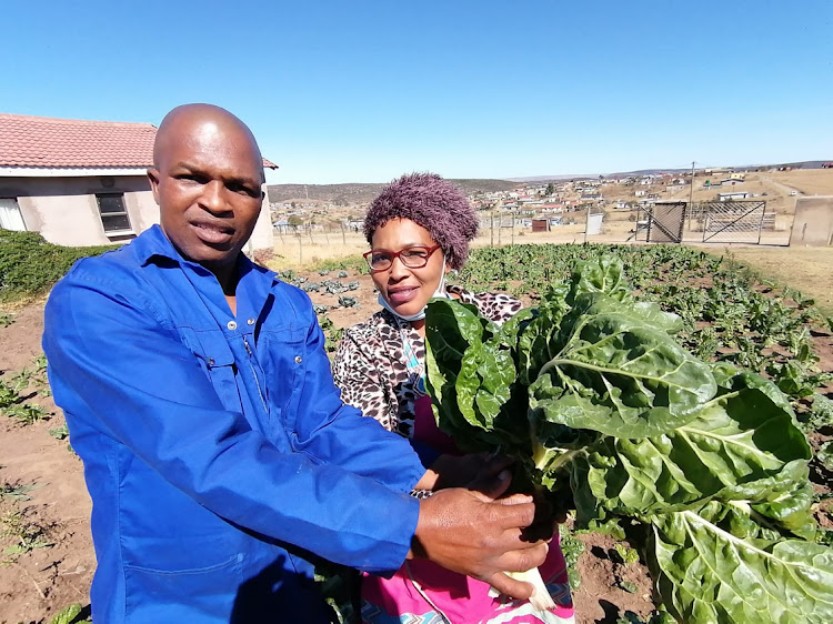 Andile Faniso and his wife Maude Nophelo Faniso at their vegetable garden at Ethembeni village in Qonce are destined to feed and help those who need help the most.