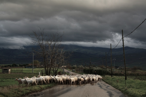 Basilicata di Dario Pace