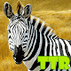 Download zebra live wallpapers free For PC Windows and Mac 1.00