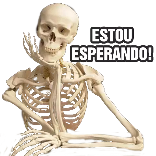 60 memes engraçados para rachar o bico de rir