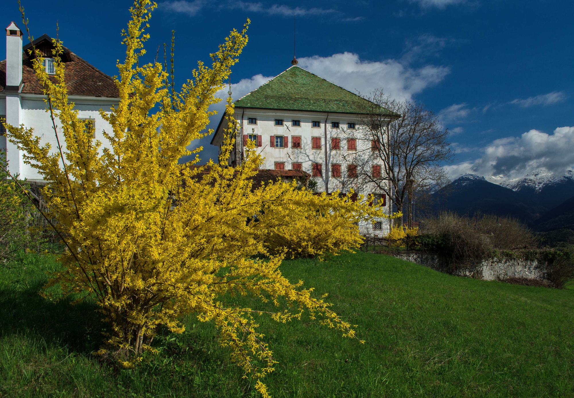 Una splendida giornata di Moreno re