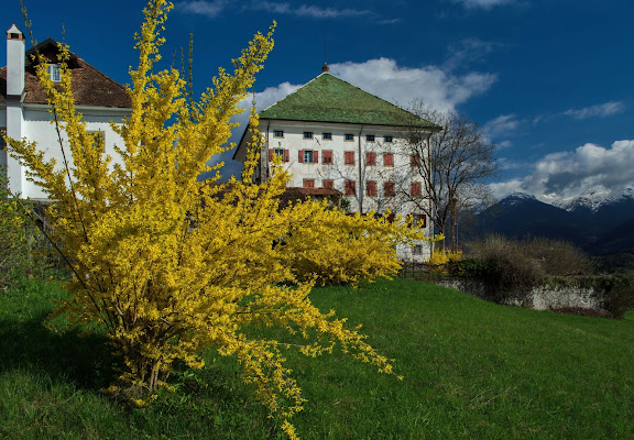 Una splendida giornata di Moreno re