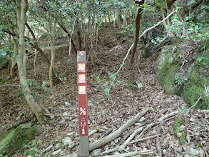 上部の矢印を山行に右へ