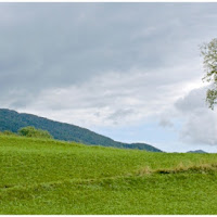 La quiete dopo il temporale di 