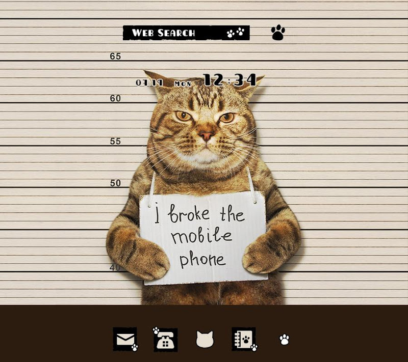 Info Populer 39+ Cat Mug Shot