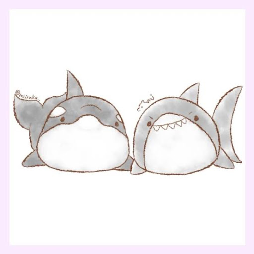 🦈🦈