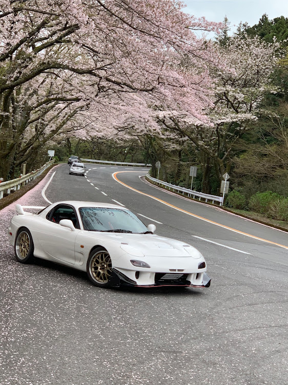 RX-7のFD3S・箱根ターンパイク・桜・コロナウイルスに負けるなに関するカスタム事例の投稿画像4枚目
