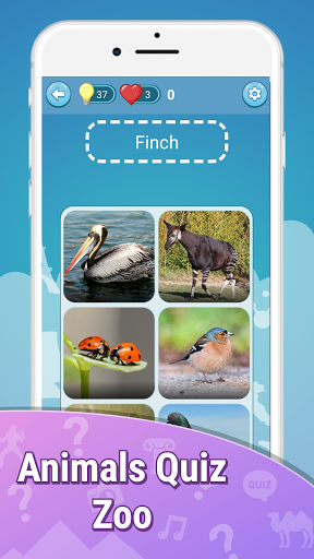 Screenshot Animals quiz zoo: fish birds