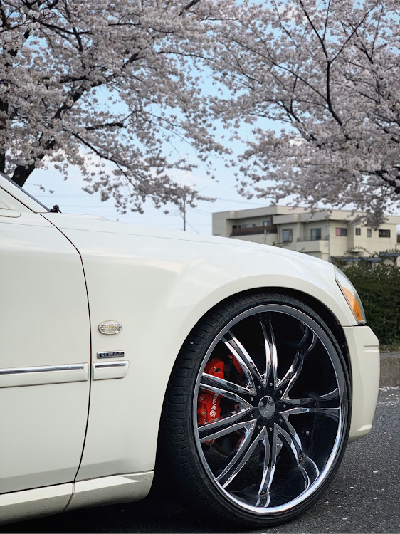 マグナムの桜と愛車・アメ車乗り・V8・マグナム・ダッジに関するカスタム事例の投稿画像1枚目