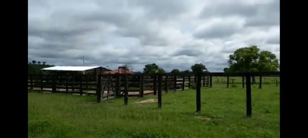 Fazendas à venda Zona Rural