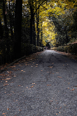 felicità naturali  di giovanni_messina