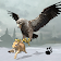 Snow Eagle 3D Sim icon