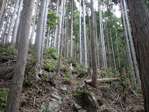 主尾根が見えてくる