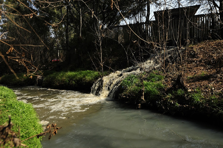 FILE IMAGE: Sewage can be seen flowing into the Rietspruit River that feeds into the Vaal River system, which supplies water to 50% of Gauteng households.