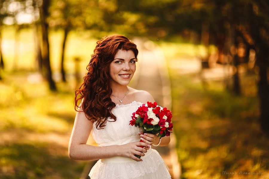 Fotógrafo de casamento Aleksandr Milay (sanpenza). Foto de 3 de agosto 2015