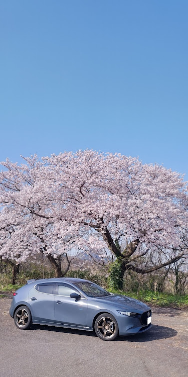 の投稿画像1枚目