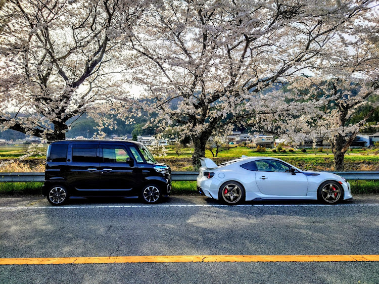 86の86のある生活・春分の日・黄砂と花粉は敵・覆面ではないですよ・春の風物詩と愛車に関するカスタム事例の投稿画像5枚目