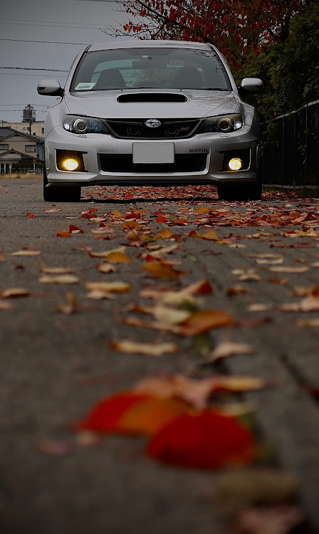 インプレッサ WRX STIの新潟・gv・真正面ショット・2月もよろしくお願いします・GVB/GVFに関するカスタム事例の投稿画像1枚目