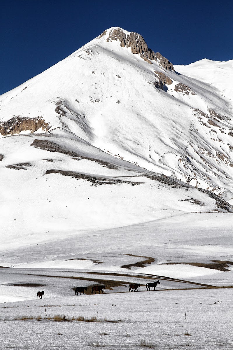 Abruzzo di David Marrone