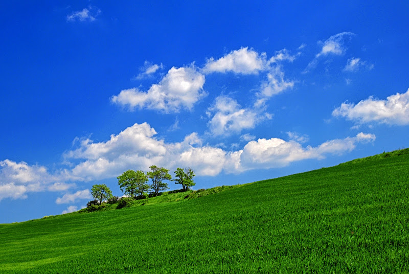 Val d'Orcia di franca111